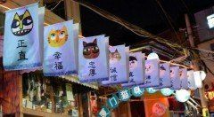 -猫咪博物馆(顶澳仔猫街店)