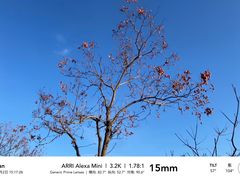 -北京西山国家森林公园