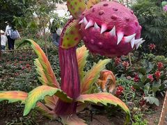 -沈阳植物园