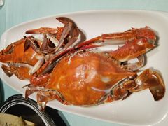 -高佳庄·舟山海鲜(海景旗舰店)