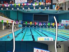 -重庆市奥林匹克体育中心-游泳跳水馆