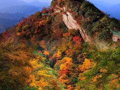 -光雾山旅游景区
