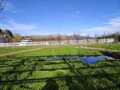 -才村湿地公园
