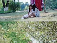 -铁山坪森林公园