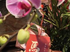-钱王祠