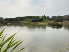 -福田红树林生态公园