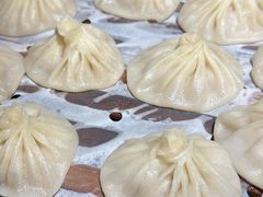 清香猪肉灌汤包-老班长手工灌汤包老店(东山店)