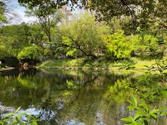 -上海共青森林公园