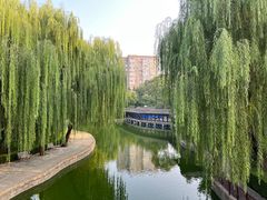 -团结湖公园