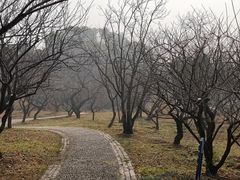 -无锡梅园公园