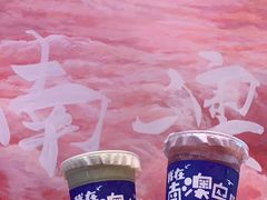 -南澳岛打卡果汁冰公司