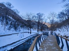 -白水寺森林公园