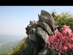 -木兰云雾山