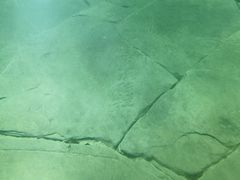 -白鹤梁水下博物馆