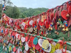 -西双版纳原始森林公园