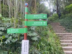 -龙井村
