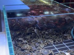 -聚盛源蒸汽海鲜火锅烤肉自助(巨川金海岸购物广场店)