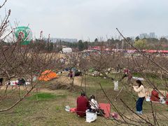 -秀丽东方