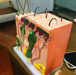 -乐肤皮肤管理中心