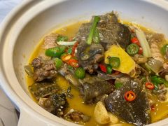 沙鳖-胖婆捆鸭(长沙锦泰广场店)
