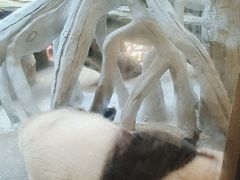 -宁波野生动物园