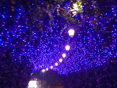 -芜湖方特东方神画