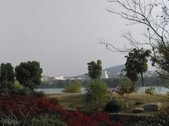 -羊山湖公园