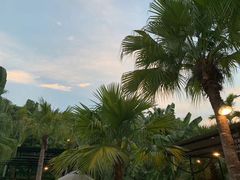 -100蛋泥浆浴