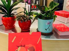 -奈雪的茶(石厦时代广场店)