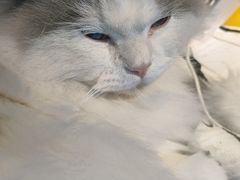 -暗楼·剧本杀·桌游