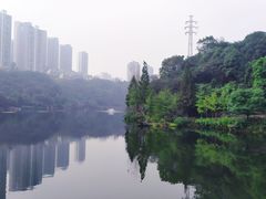 -重庆彩云湖湿地公园