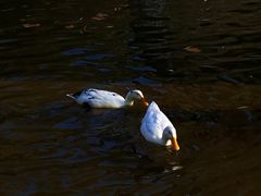 -西安市长乐公园