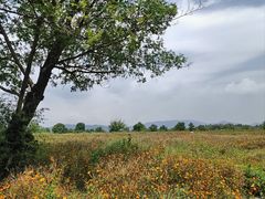 -良渚古城遗址公园