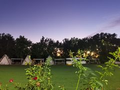 -TIPPI营地 房车主题·露营烧烤团建轰趴(天安假日店)