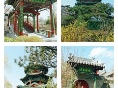 -迎泽公园