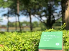-福田红树林生态公园