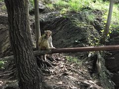-北京上方山国家森林公园