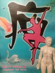 减肥海报哦-摩瘦纤体订制减肥