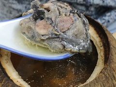 原只椰子炖竹丝鸡-達揚原味燉品(文明路店)