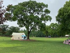-上海滨江森林公园