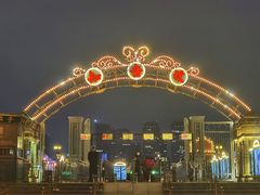 -武汉知音号