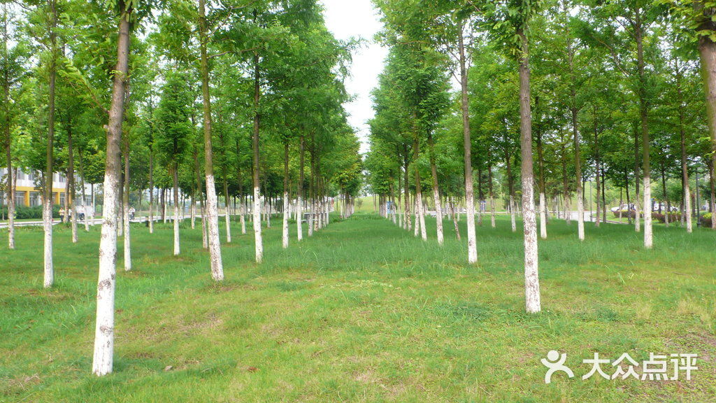 河海大学叠翠山图片-北京大学-大众点评网