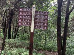 -云龙山