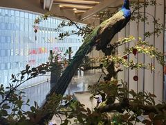 -和子足浴SPA会馆(竹山路店)