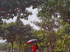 -西秀海滩公园