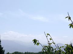 -兴教寺