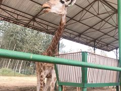 -秦皇岛野生动物园