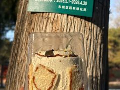 -味多美蛋糕(安定门店)