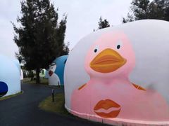 -漳州滨海火山岛自然生态风景区