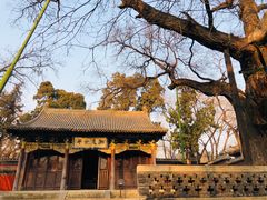 -晋祠公园